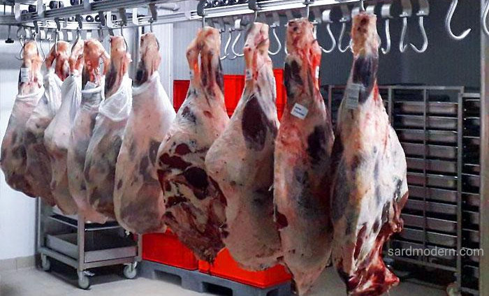 Hanging meat from the rail in cold storage
